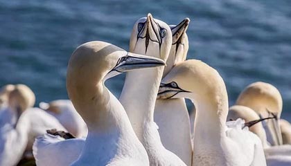 安宁最新公积金卡提取现金方法app方法分析(最方便真实的安宁公积金卡怎样从手机里取出来?方法)