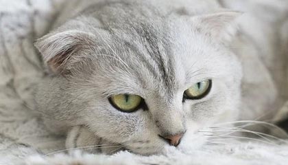 安宁最新公积金卡提取现金操作及规定方法分析(最方便真实的安宁公积金卡提取现金操作及规定是什么方法)