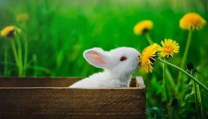 安宁最新公积金卡提取现金方法app方法分析(最方便真实的安宁公积金卡怎样从手机里取出来?方法)